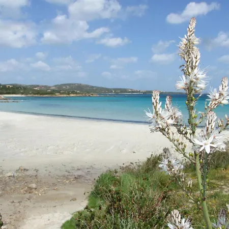 Locazione Turistica Vista Mare 4 * Pittulongu